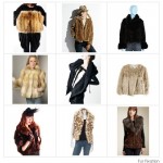 Fur Fixation
