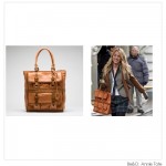 Dear Fashion Kitty, Serena’s Bag