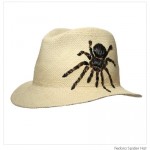 Dear Fashion Kitty, Spider Fedora