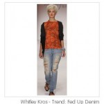 Dear Fashion Kitty, Whitley Kros Jeans
