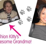 No habla espanol: Fashion Kitty on Univision