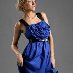 Dear Fashion Kitty, Blair’s Dress