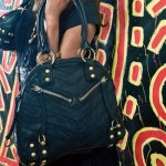 Dear Fashion Kitty, Handbag Help!