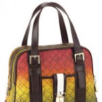 My first L.A.M.B bag