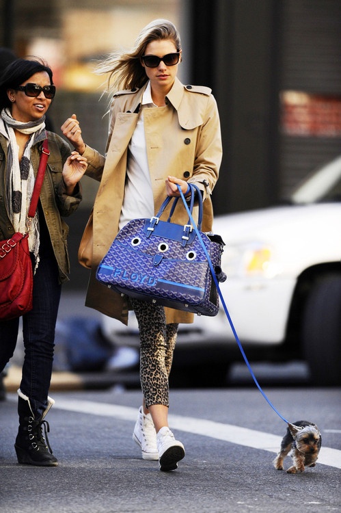 Designer Dog Carriers to Covet « Lauren Messiah